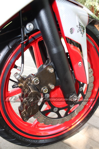 Elegant Sporty Ninja 250R